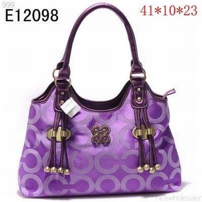 Coach handbags118